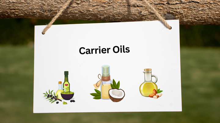 Beginner's Guide to Carrier Oils