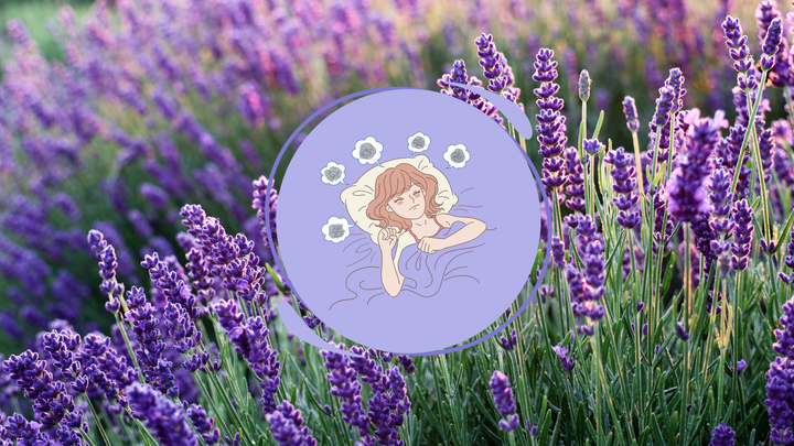 How Essential Oils Can Help Insomnia and Sleep Disturbance