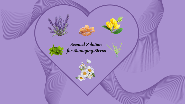 Essential Oils for Stress Management: A Scented Solution